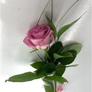 Single Funeral Rose