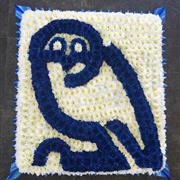 Sheffield Wednesday Owl