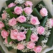 TWO DOZEN PINK ROSES