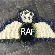 RAF Pilot Wings Embelem