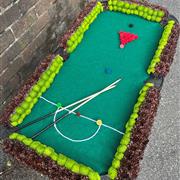 Snooker Table