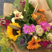 BRIGHT AND VIBRANT - AQUA PACK