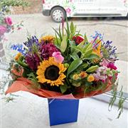 COLOUR STATEMENT - BRIGHT AND VIBRANT