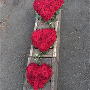 WHERE ROSES REMEMBER