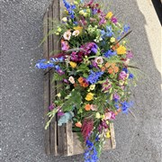 IN FULL BLOOM