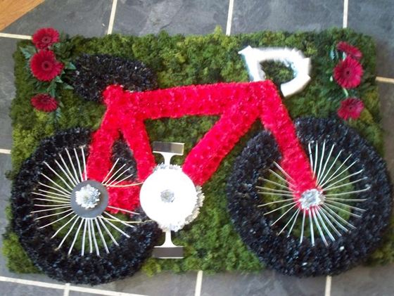 Push bicycle online