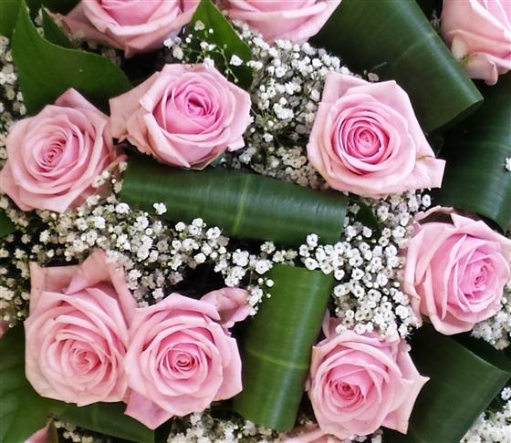 Two Dozen Pink Rose Bouquet Townend Florist Sheffield